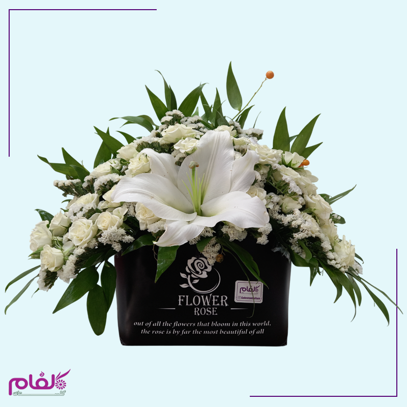 باکس گل ۱۰۲