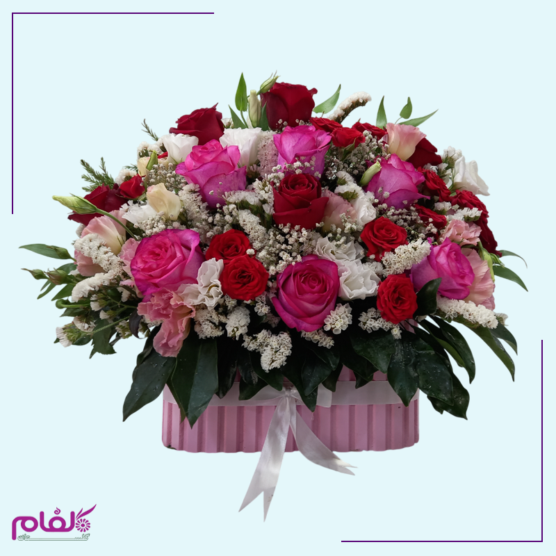 باکس گل ۱۰۳