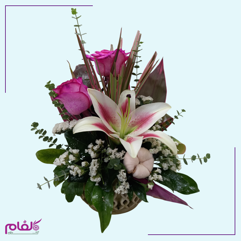 باکس گل ۱۰۴
