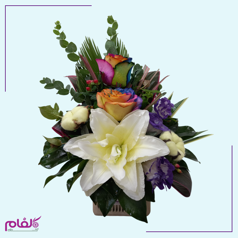 باکس گل ۱۰۶