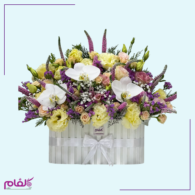 باکس گل ارغوان