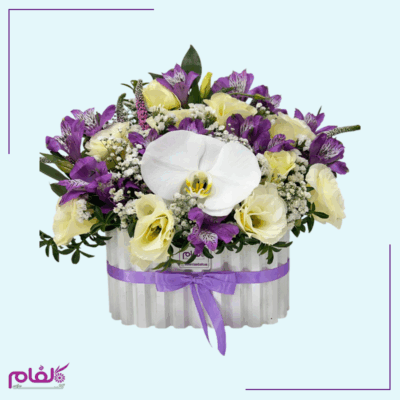 باکس گل ۲۵