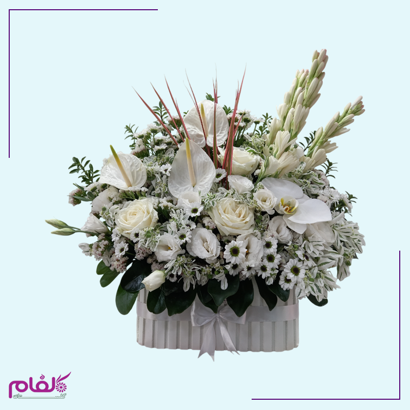 باکس گل ۱۰۰۲