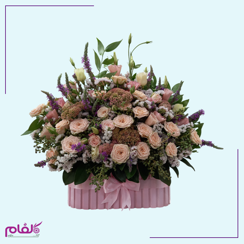 باکس گل ۱۰۰۳