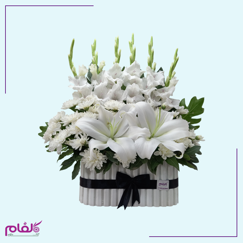باکس گل ملورین