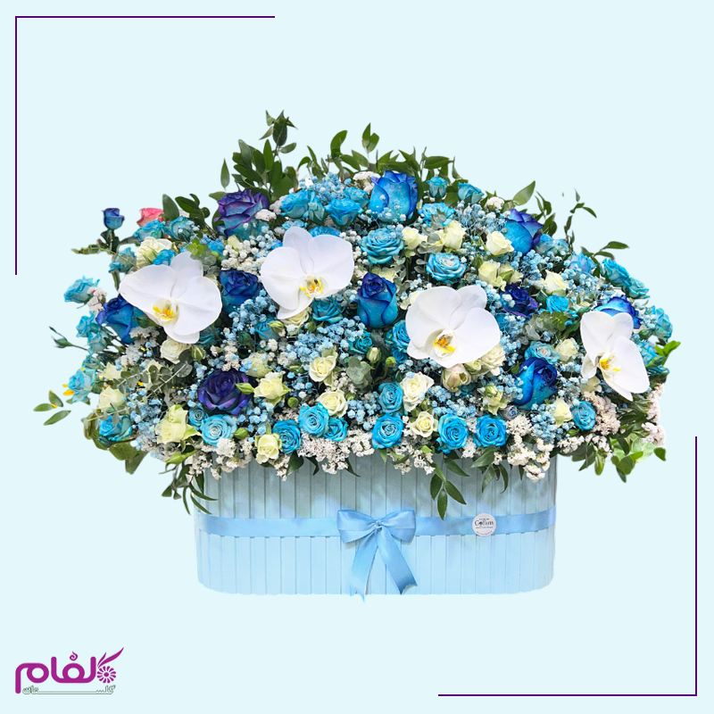 باکس گل ۱۴۰۴