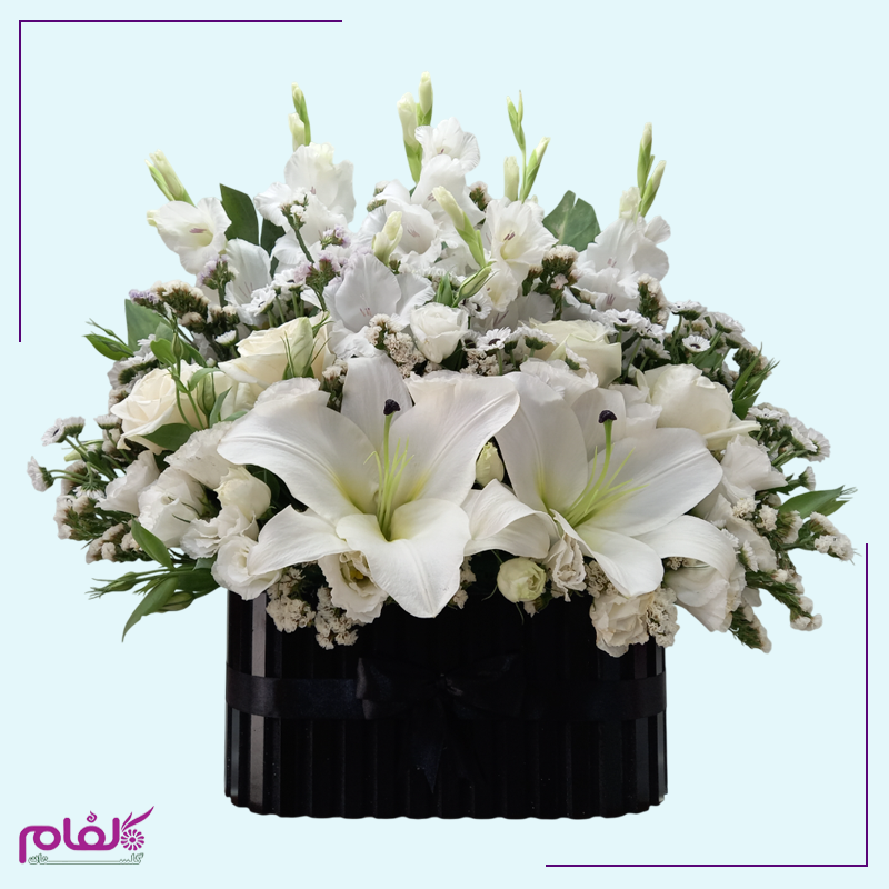 باکس گل نایان