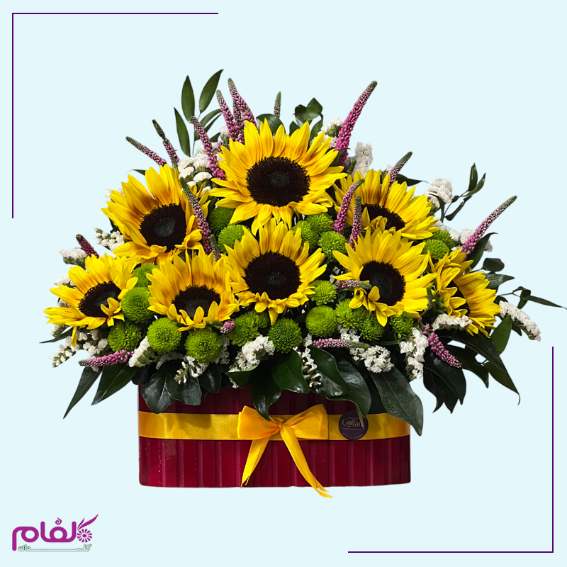 عکس ۱۱۱۰