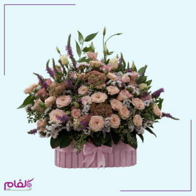 باکس گل ۱۰۰۳
