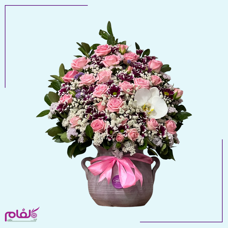 عکس ۱۱۰۵