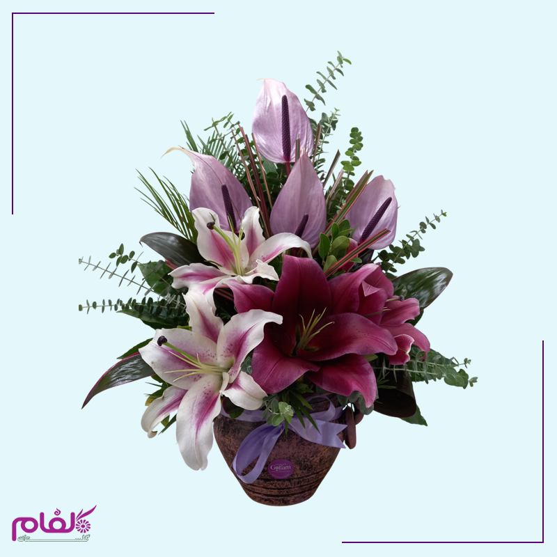 عکس ۱۱۱۲
